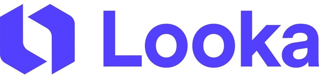 Looka-logo1-1024x537-1.jpg
